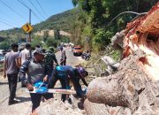 Sigap Polairud Polda Gorontalo, Evakuasi Pohon Tumbang Trans Sulawesi