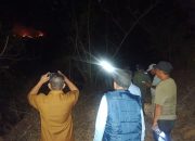Respon Cepat Kebakaran Lahan di Telaga Biru, Bupati Gorontalo Datangi Lokasi