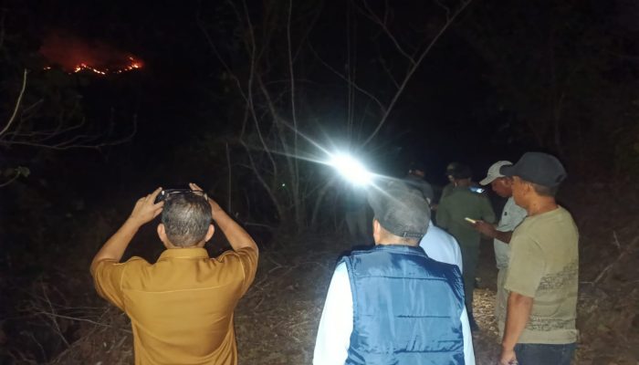 Respon Cepat Kebakaran Lahan di Telaga Biru, Bupati Gorontalo Datangi Lokasi